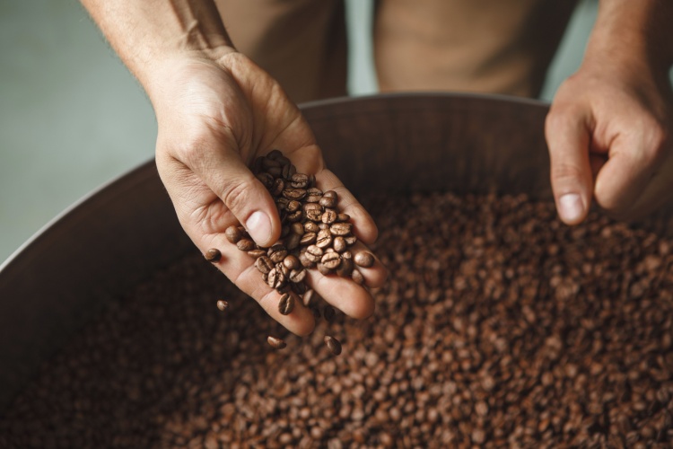 Tasting Culture: The Anatomy of a Coffee
